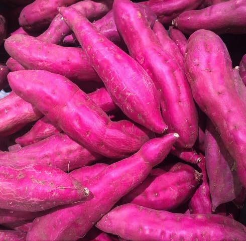 pink sweet potato seeds