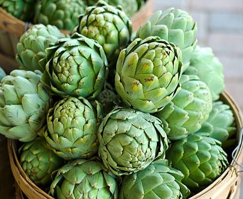 artichoke green heirloom non-gmo seeds