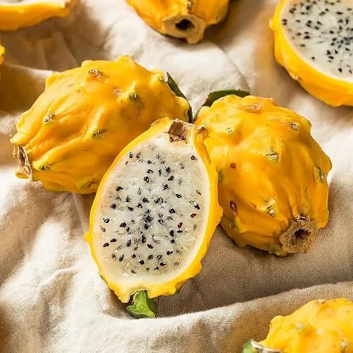 Dragon Seeds Yellow Heirloom Non-GMO High Germination Organic Garden Seeds for Planting