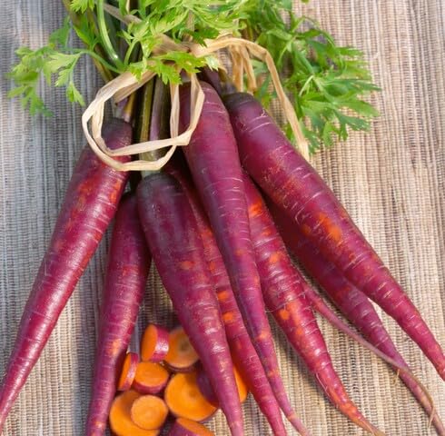Purple Carrot Seeds – Heirloom, Non-GMO, High Germination Organic Garden Seeds Planting