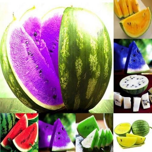 Mixed Watermelon Fruit Seeds – Heirloom, Non-GMO, High Germination Organic Garden