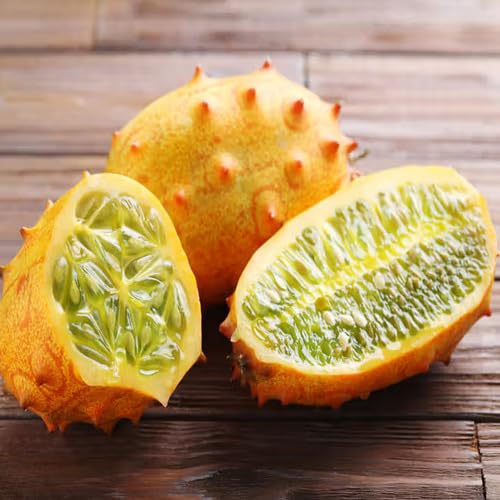 Orange Kiwano Melon Seeds for Planting – Heirloom Non-GMO High Germination Organic Garden Seeds