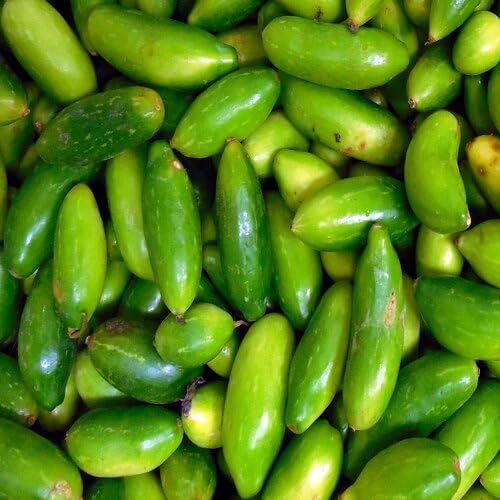 Ivy Gourd Green Seeds – Heirloom, Non-GMO, High Germination Organic Garden Seeds Planting