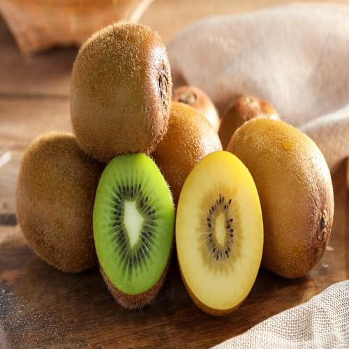 Mixed Kiwi Fruit Seeds – Heirloom, Non-GMO, High Germination Organic Garden Seeds for Planting