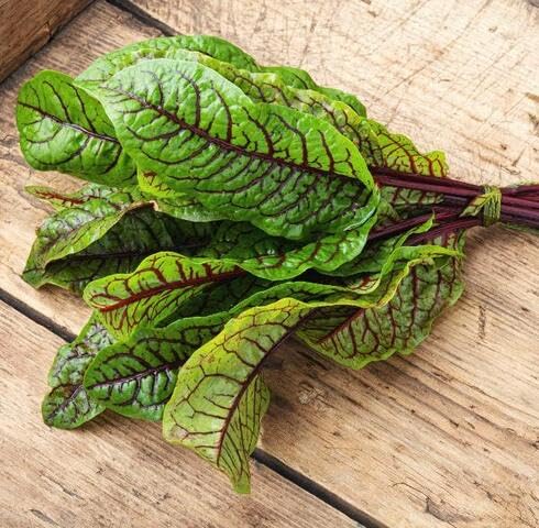 Green Red Sorrel Seeds for Planting – Heirloom, Non-GMO, High Germination Organic Garden Seeds