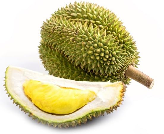 Durian Seeds – Heirloom, Non-GMO, High Germination Organic Garden Seeds