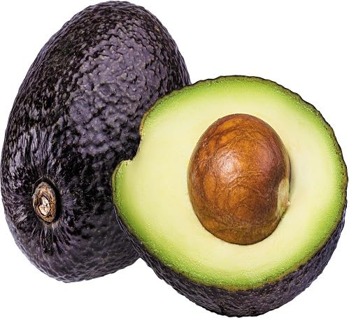 Avocado Seeds Green – Heirloom, Non-GMO, High Germination Organic Garden Seeds