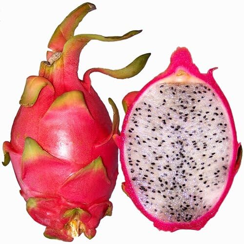 Pink Dragon Seeds – Heirloom, Non-GMO, High Germination Organic Garden Seeds