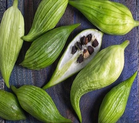 Achocha Green Seeds – Heirloom, Non-GMO, High Germination Organic Garden Seeds Planting