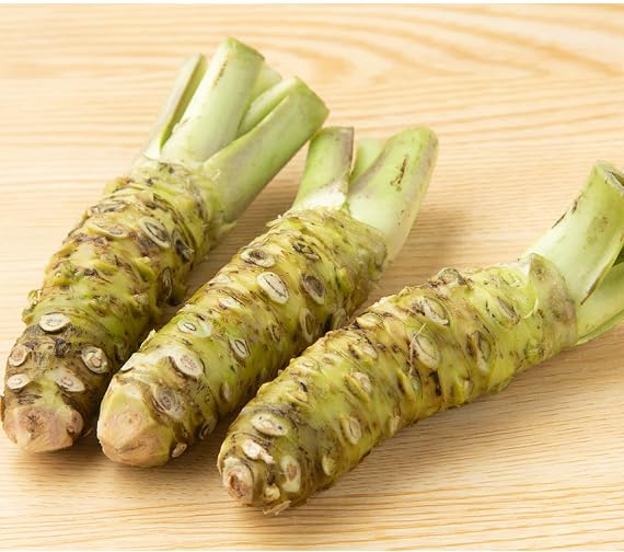 Wasabi Seeds – Heirloom, Non-GMO, High Germination Organic Garden Seeds Planting
