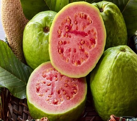 Guava Fruit Seeds – Heirloom, Non-GMO, High Germination Organic Garden Seeds