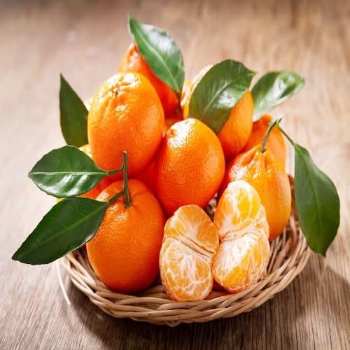 Tangerine Seeds – Heirloom, Non-GMO, High Germination Organic Garden Seeds