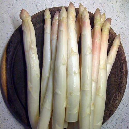 White Asparagus Seeds – Heirloom, Non-GMO, High Germination Organic Garden Seeds Planting