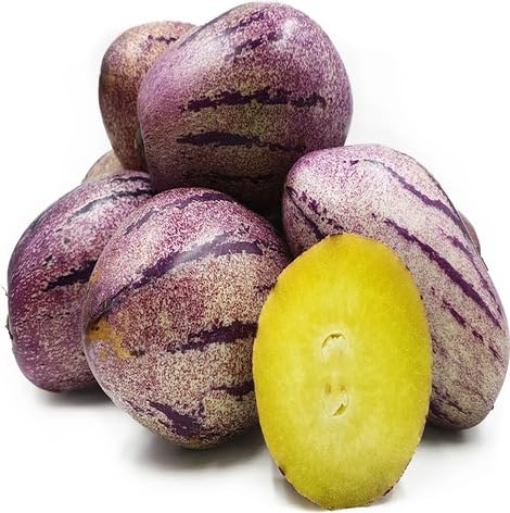 Pepino Melon Seeds – Heirloom, Non-GMO, High Germination Organic Garden Seeds