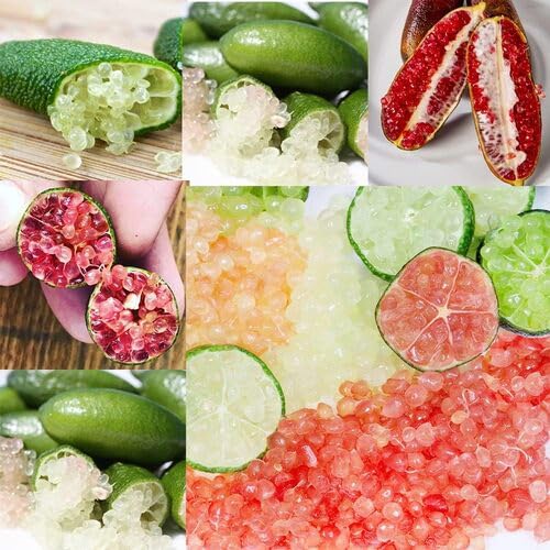 Finger Lime Seeds – Heirloom, Non-GMO, High Germination Organic Garden Seeds
