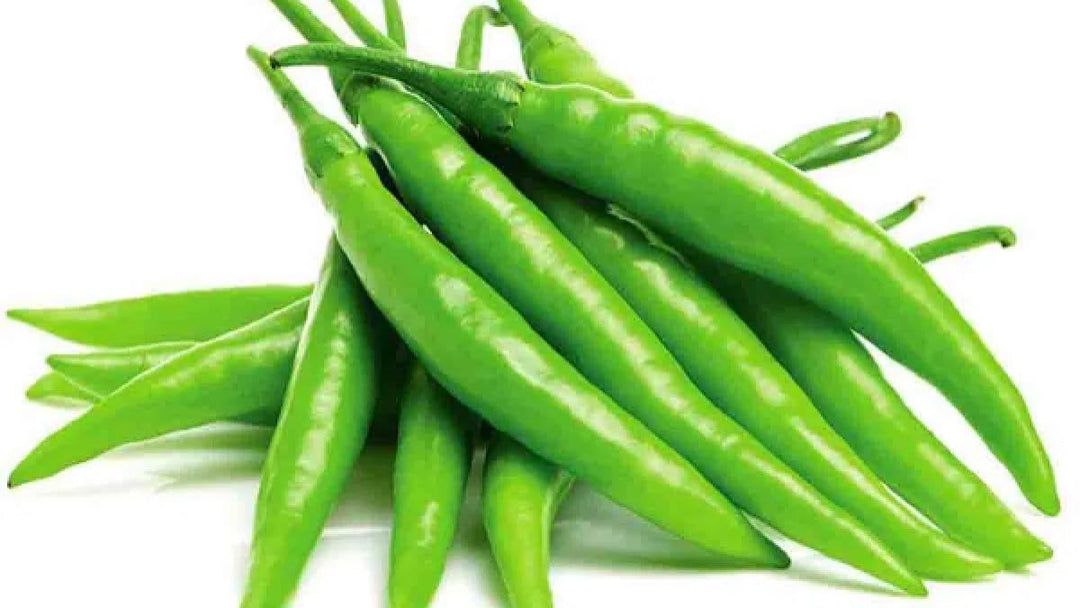 Chilli – Heirloom, Non-GMO, High Germination Organic Garden Seeds Planting