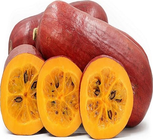 Sicana Seeds – Heirloom, Non-GMO, High Germination Organic Garden Seeds