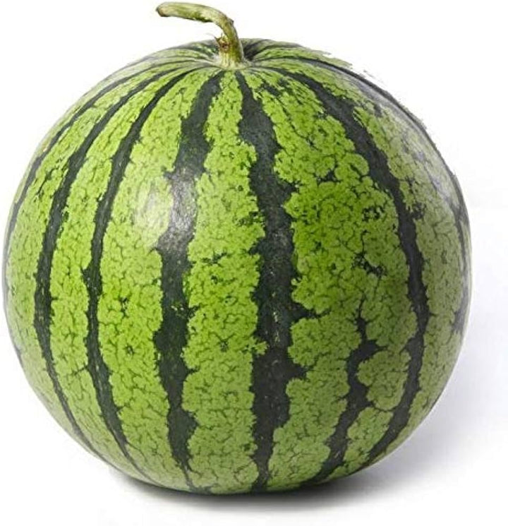 Green Watermelon Fruit Organic Seeds for Planting – Heirloom Non-GMO, High Germination