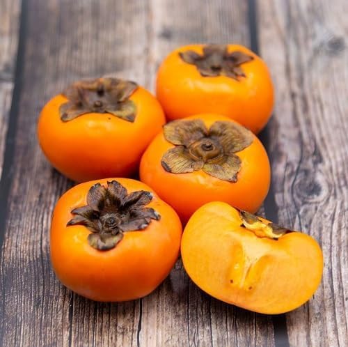Persimmon Seeds – Heirloom, Non-GMO, High Germination Organic Garden Seeds