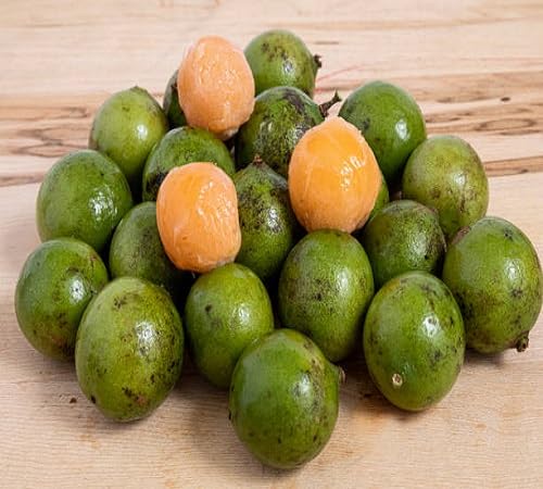 Mamoncillo Seeds – Heirloom, Non-GMO, High Germination Organic Garden Seeds