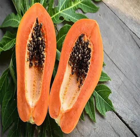 Orange Papaya Seeds – Heirloom, Non-GMO, High Germination Organic Garden Seeds