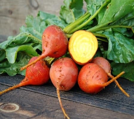 Beetroot Red Seeds – Heirloom, Non-GMO, High Germination Organic Garden Seeds Planting