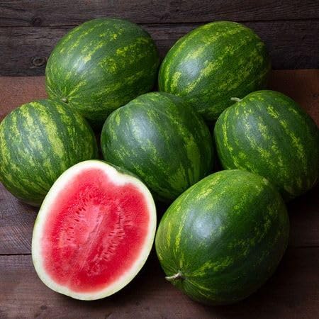 Red Watermelon Seeds – Heirloom, Non-GMO, High Germination Organic Garden Seeds