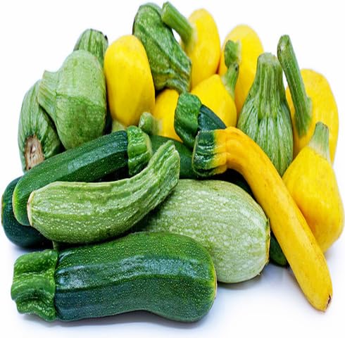 Mixed Squash Seeds – Heirloom, Non-GMO, High Germination Organic Garden Seeds Planting