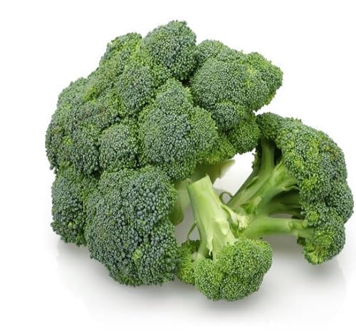 Broccoli Seeds – Heirloom, Non-GMO, High Germination Organic Garden Seeds Planting