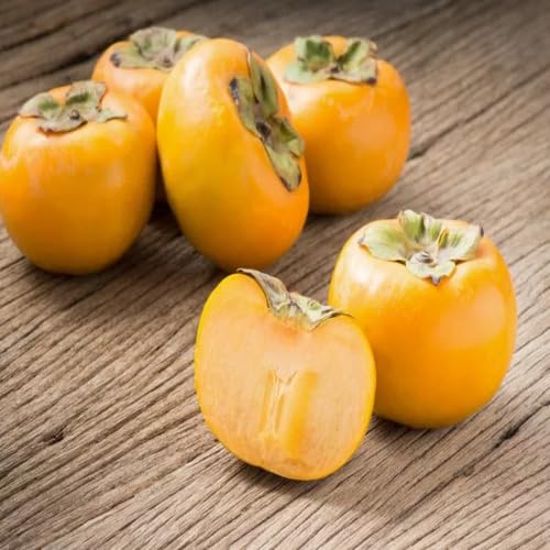 Yellow Permission Seeds – Heirloom, Non-GMO, High Germination Organic Garden Seeds