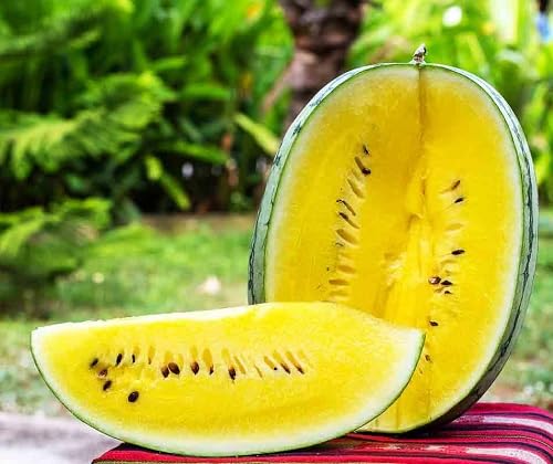 Yellow Watermelon Seeds for Planting | Heirloom Non-GMO Organic Garden Seeds