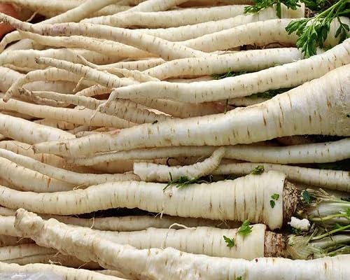 Turga Seeds – Heirloom, Non-GMO, High Germination Organic Garden Seeds Planting