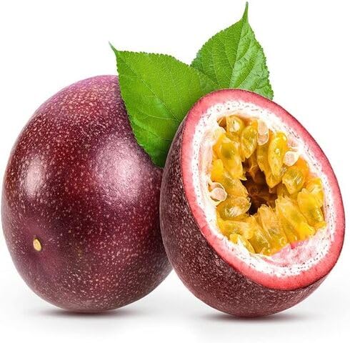 Purple Passion Seeds Heirloom Non-GMO High Germination Organic Garden Seeds for Planting
