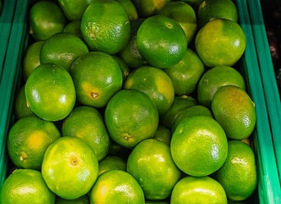 Orange Seeds Green – Heirloom, Non-GMO, High Germination Organic Garden Seeds