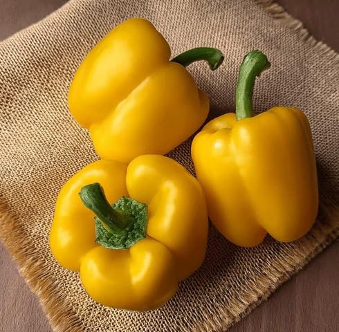 Yellow Capsicum Seeds – Heirloom, Non-GMO, High Germination Organic Garden Seeds Planting
