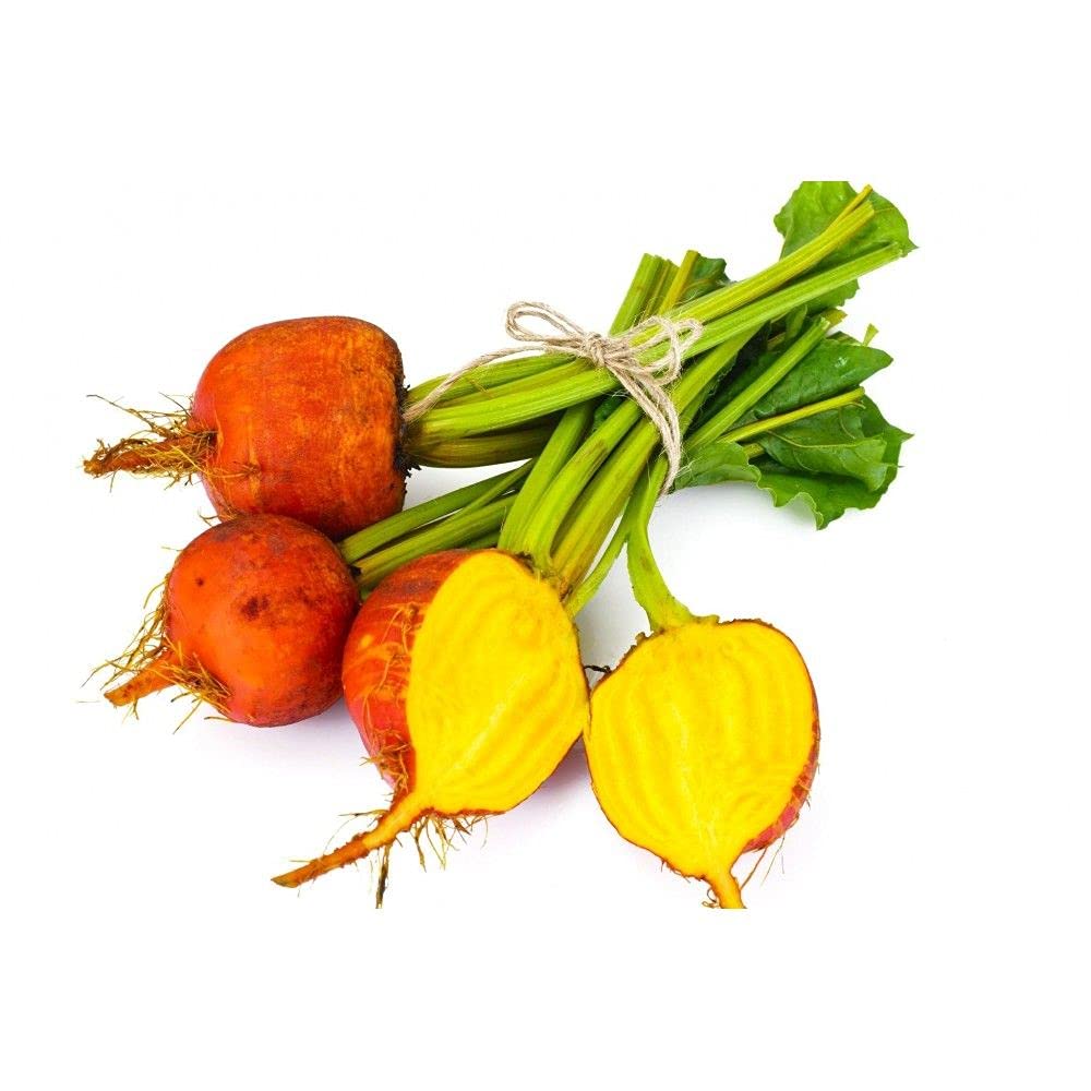 golden beet flower seeds