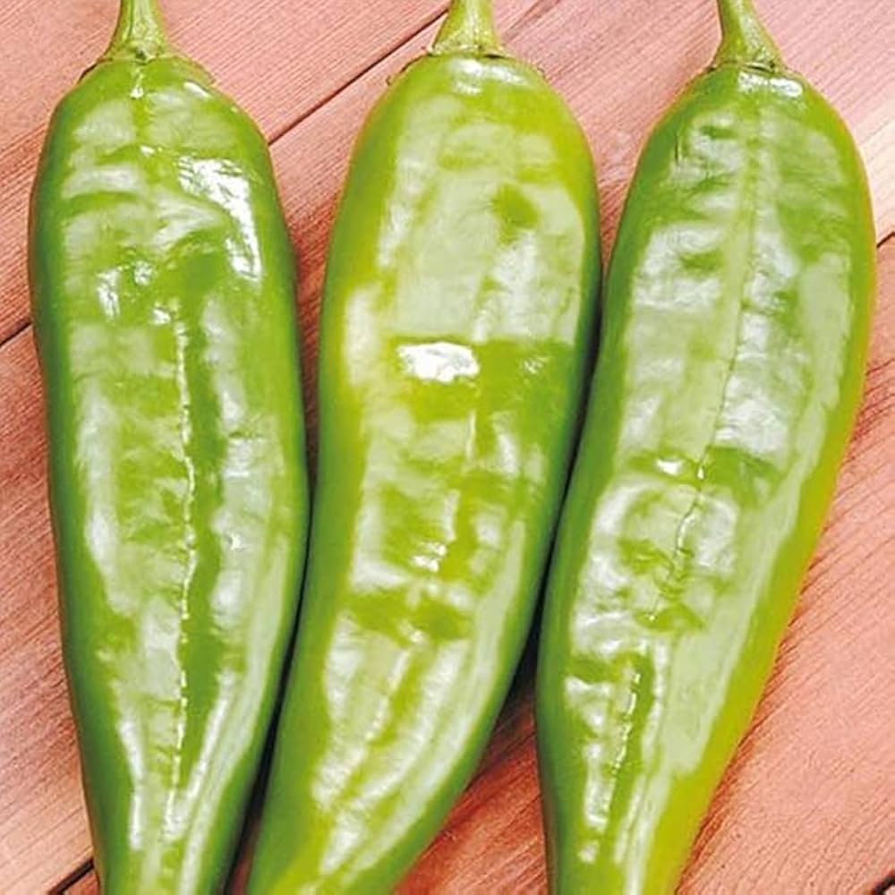 italian sweet flower seeds
