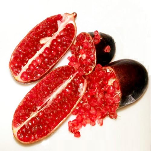 Red Finger Lime Seeds – Heirloom, Non-GMO, High Germination Organic Garden Seeds