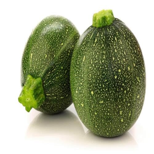 Green Gem Squash Seeds – Heirloom, Non-GMO, High Germination Organic Garden Seeds Planting