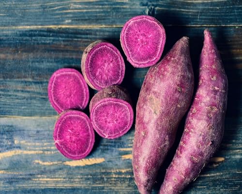 Purple Sweet Potato Seeds – Heirloom, Non-GMO, High Germination Organic Garden Seeds Planting