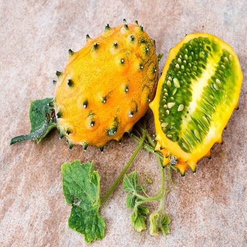 Yellow Kiwano Melon Seeds – Heirloom, Non-GMO, High Germination Organic Garden Seeds