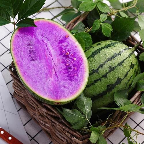 Purple Water Melon Seeds – Heirloom, Non-GMO, High Germination Organic Garden Seeds