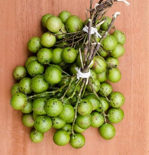 Green Mamoncillo Seeds – Heirloom, Non-GMO, High Germination Organic Garden Seeds