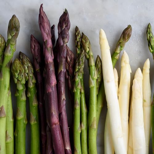 Mixed Asparagus Seeds – Heirloom, Non-GMO, High Germination Organic Garden Seeds Planting