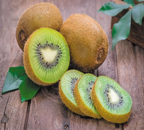 Kiwi Seeds – Heirloom, Non-GMO, High Germination Organic Garden Seeds