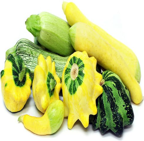 Mixed Zucchini Seeds – Heirloom Non-GMO Organic Vegetable Garden Seeds for Planting