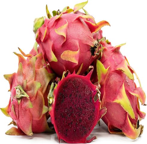 Pink Dragon Seeds – Heirloom, Non-GMO, High Germination Organic Garden Seeds