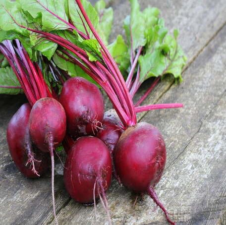 Red Beetroot Seeds – Heirloom, Non-GMO, High Germination Organic Garden Seeds Planting