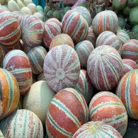 Kajari Melon Fruit Seeds – Heirloom, Non-GMO, High Germination Organic Garden Seeds