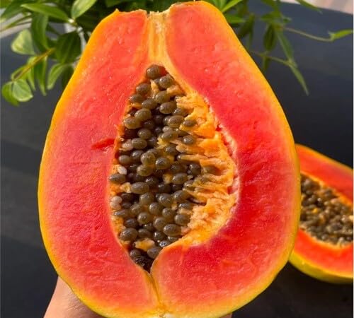 Yellow Papaya Seeds – Heirloom, Non-GMO, High Germination Organic Garden Seeds